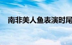 南非美人鱼表演时尾部被卡住，脱衣逃生