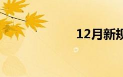 12月新规，来了！