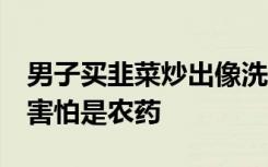 男子买韭菜炒出像洗衣液绿色汤汁：不敢吃，害怕是农药