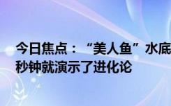 今日焦点：“美人鱼”水底表演被卡住 脱衣逃生 网友：几秒钟就演示了进化论
