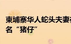 柬埔寨华人蛇头夫妻在中国落网：手下有十余名“猪仔”