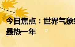 今日焦点：世界气象组织：今年是人类历史上最热一年