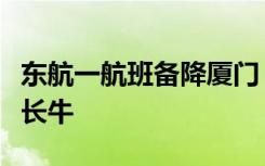 东航一航班备降厦门，航班落地后有人喊：机长牛