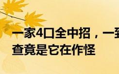 一家4口全中招，一到晚上痒到怀疑人生！一查竟是它在作怪