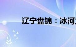 辽宁盘锦：冰河之上出现“黑洞”