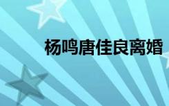 杨鸣唐佳良离婚，两人发官宣声名