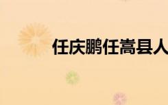 任庆鹏任嵩县人民政府代理县长