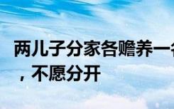 两儿子分家各赡养一名老人，老俩口含泪牵手，不愿分开