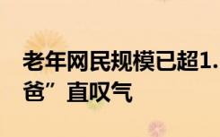 老年网民规模已超1.5亿，女儿提起“网瘾老爸”直叹气