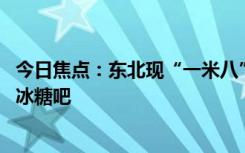今日焦点：东北现“一米八”冰糖葫芦 网友：直接山楂树裹冰糖吧