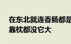 在东北就连香肠都是Plus版的，网友：我家靠枕都没它大
