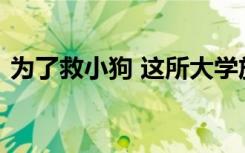 为了救小狗 这所大学放干了“护校河”的水