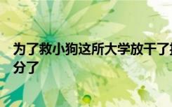 为了救小狗这所大学放干了护校河的水，网友：这学校上大分了