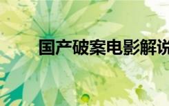 国产破案电影解说（国产破案电影）