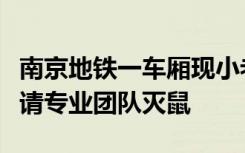 南京地铁一车厢现小老鼠乱窜，乘客淡定，已请专业团队灭鼠