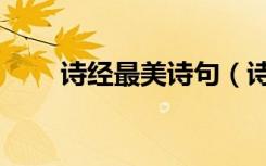 诗经最美诗句（诗经中最唯美的诗）