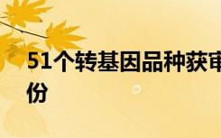 51个转基因品种获审定通过，拥有了合法身份