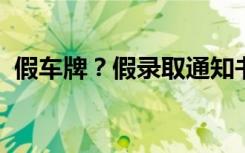 假车牌？假录取通知书？花样少年造假上瘾