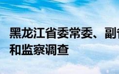 黑龙江省委常委、副省长王一新接受纪律审查和监察调查