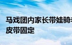 马戏团内家长带娃骑老虎背合影：老虎后肢被皮带固定