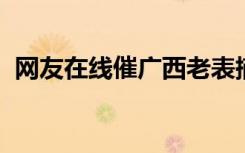 网友在线催广西老表摘砂糖橘：变黄也不怕