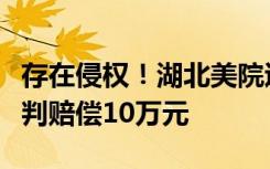 存在侵权！湖北美院退休教师抄袭学生作品被判赔偿10万元