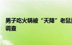 男子吃火锅被“天降”老鼠抓破头？义乌市场监管部门介入调查