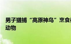 男子猎捕“高原神鸟”烹食被刑拘：国家一级重点保护野生动物