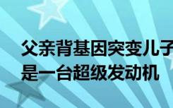 父亲背基因突变儿子1年爬了4座山：我背的是一台超级发动机