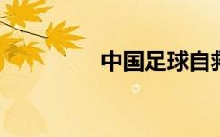 中国足球自救中期待复苏