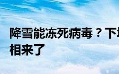 降雪能冻死病毒？下场雪生病的人就少了？真相来了