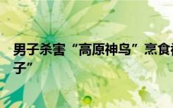 男子杀害“高原神鸟”烹食被刑拘，此鸟又被誉为“高原仙子”