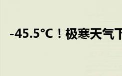 -45.5°C！极寒天气下额尔古纳现日晕奇观