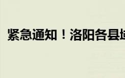 紧急通知！洛阳各县域山水景区即日起关停
