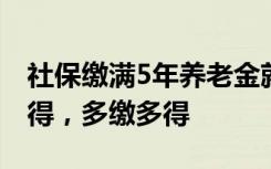 社保缴满5年养老金就进一档？回应：长缴多得，多缴多得