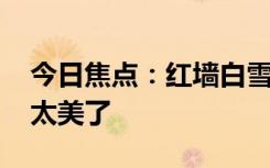 今日焦点：红墙白雪 网友感叹故宫的雪景也太美了