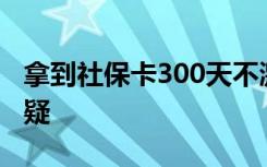 拿到社保卡300天不激活就会被挂失？官方答疑