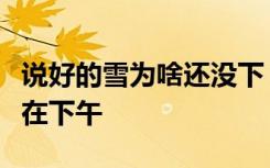 说好的雪为啥还没下？河南气象：别急，大约在下午
