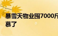 暴雪天物业囤7000斤白菜免费送业主 网友羡慕了