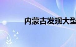 内蒙古发现大型金矿估值170亿