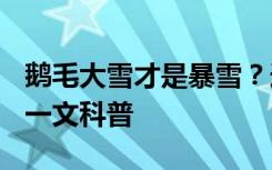 鹅毛大雪才是暴雪？连绵细雪为何能成暴雪？一文科普