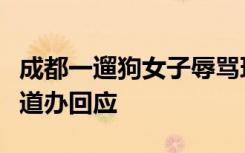 成都一遛狗女子辱骂环卫工并踢散落叶堆，街道办回应