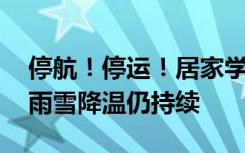 停航！停运！居家学习！四预警齐发 大范围雨雪降温仍持续