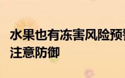 水果也有冻害风险预警？广西提示香蕉火龙果注意防御