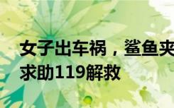 女子出车祸，鲨鱼夹插入后脑勺 先进急诊再求助119解救