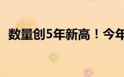 数量创5年新高！今年贺岁档新片超过70部