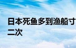 日本死鱼多到渔船寸步难行，1个多月发生第二次