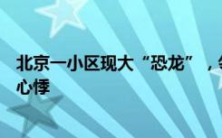 北京一小区现大“恐龙”，邻居：正“冲”自家窗户，让人心悸