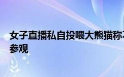 女子直播私自投喂大熊猫称不怕举报，景区：终身不得进入参观