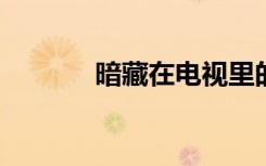 暗藏在电视里的赌博色情网站